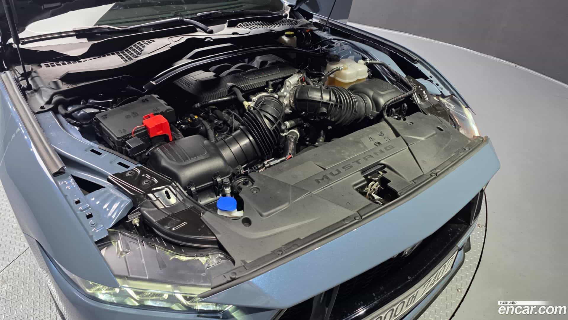 Mustang Ford 2024.11-OUTER-006