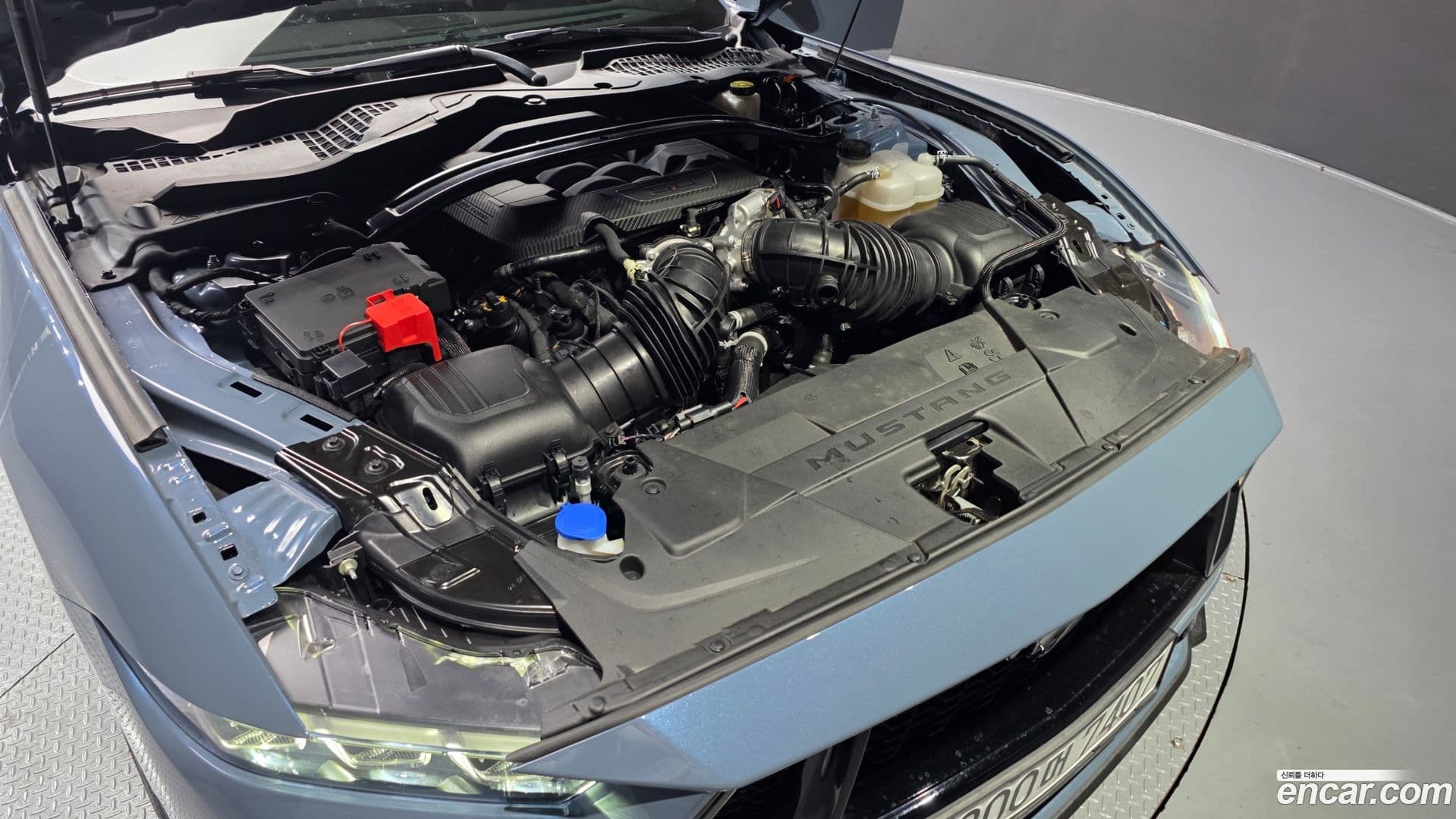 Main__Slider__Photo:Mustang Ford 2024.11-5