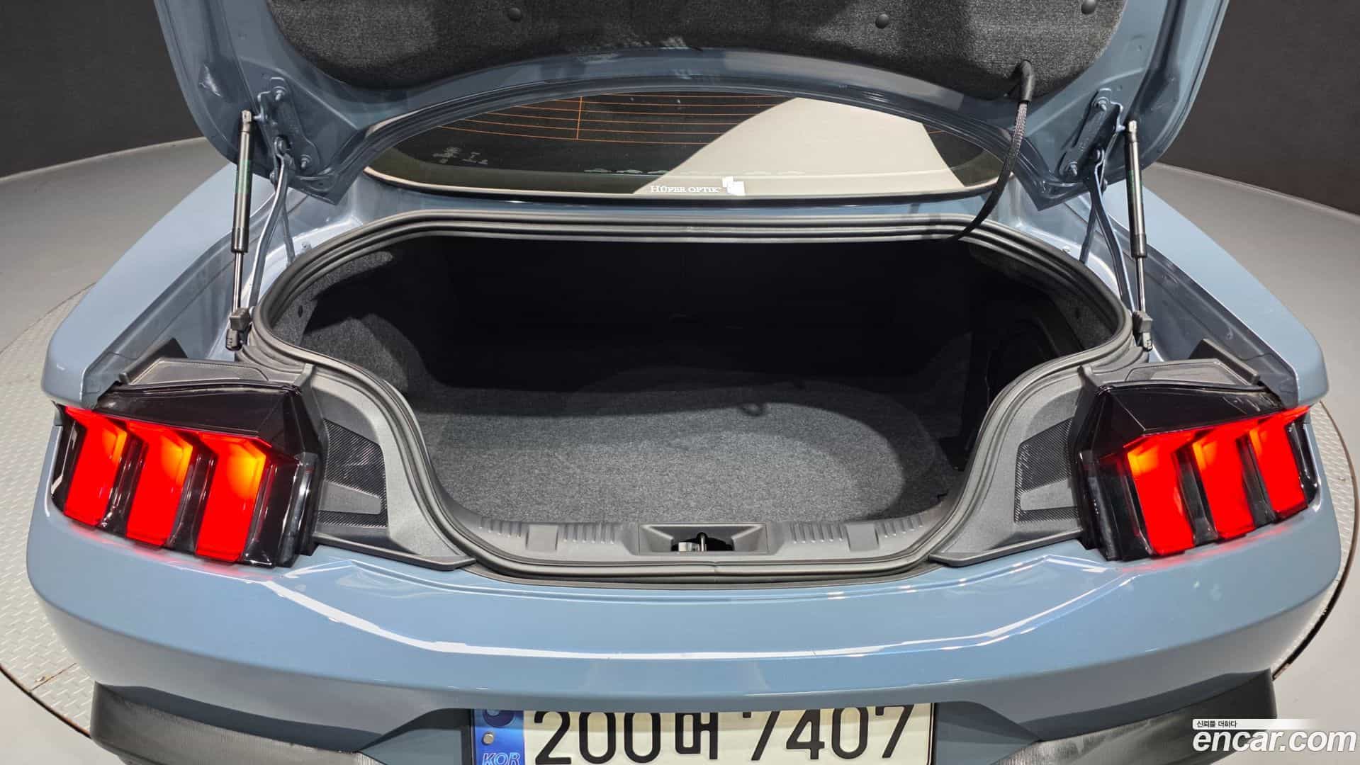 Mustang Ford 2024.11-OPTION-024