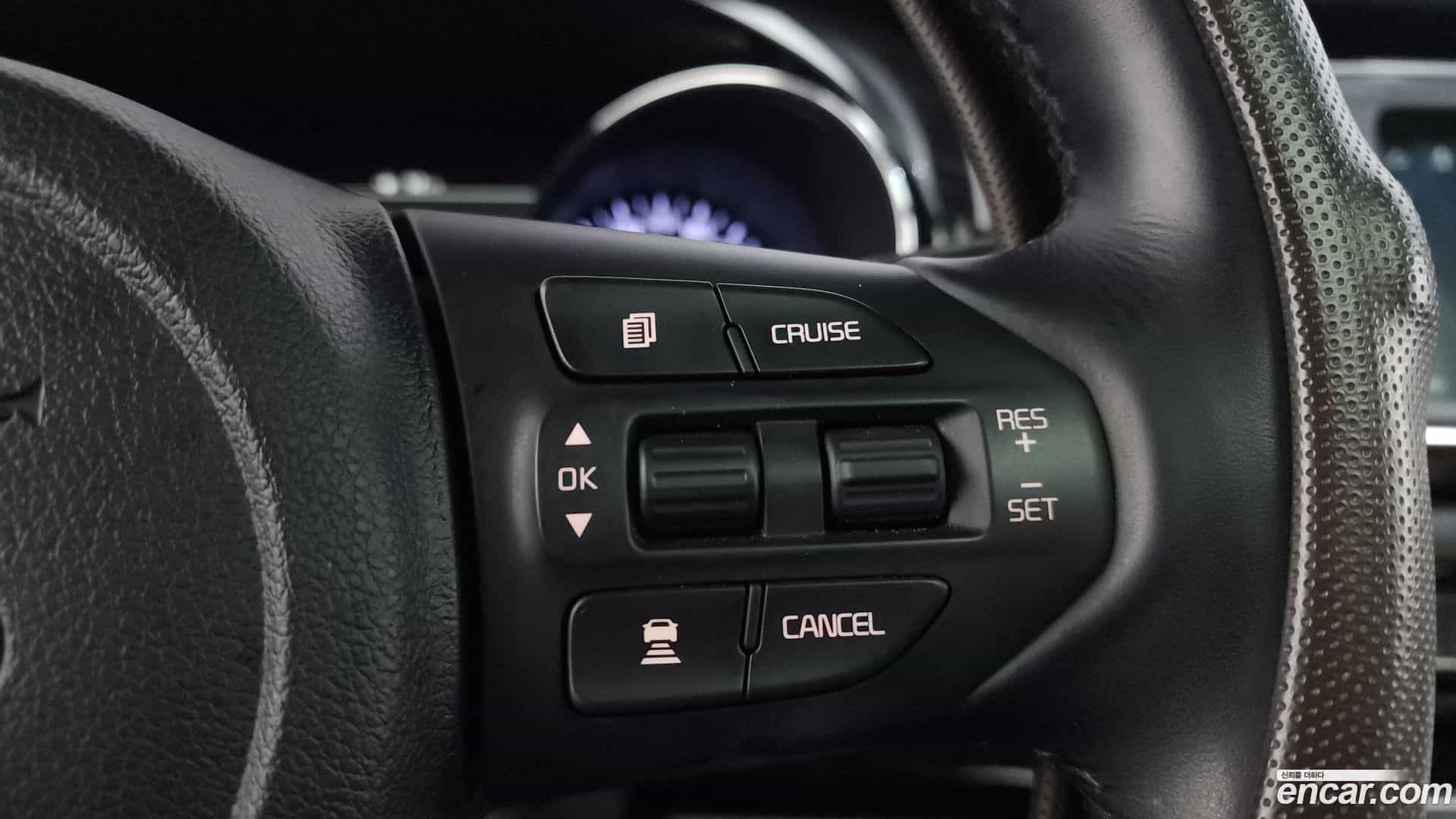 Canival Kia 2020.4-OPTION-020