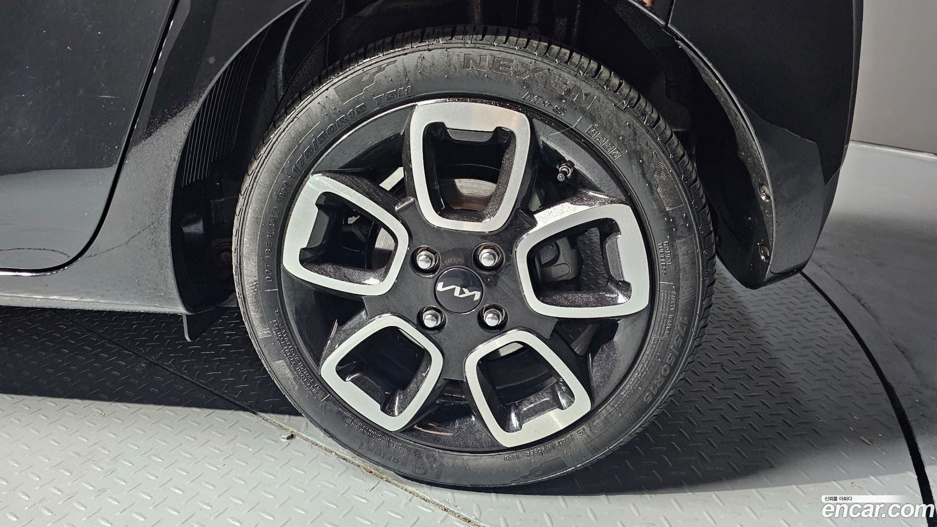 Main__Slider__Photo:RAY Kia 2022.6-19