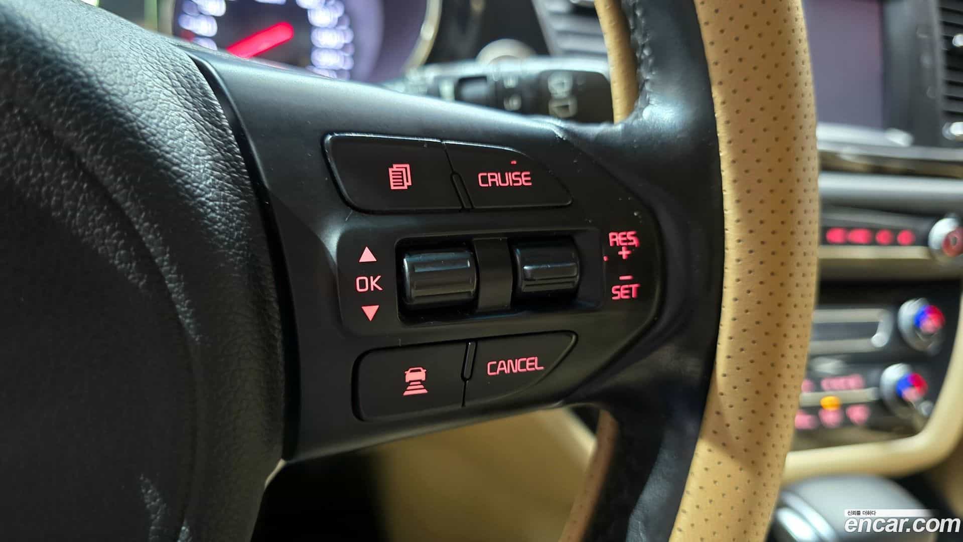 Canival Kia 2016.6-OPTION-021