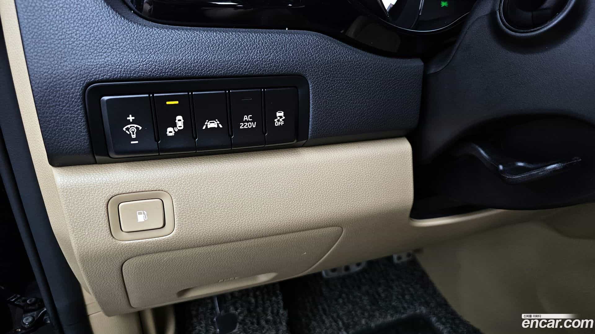 Canival Kia 2017.6-OPTION-018