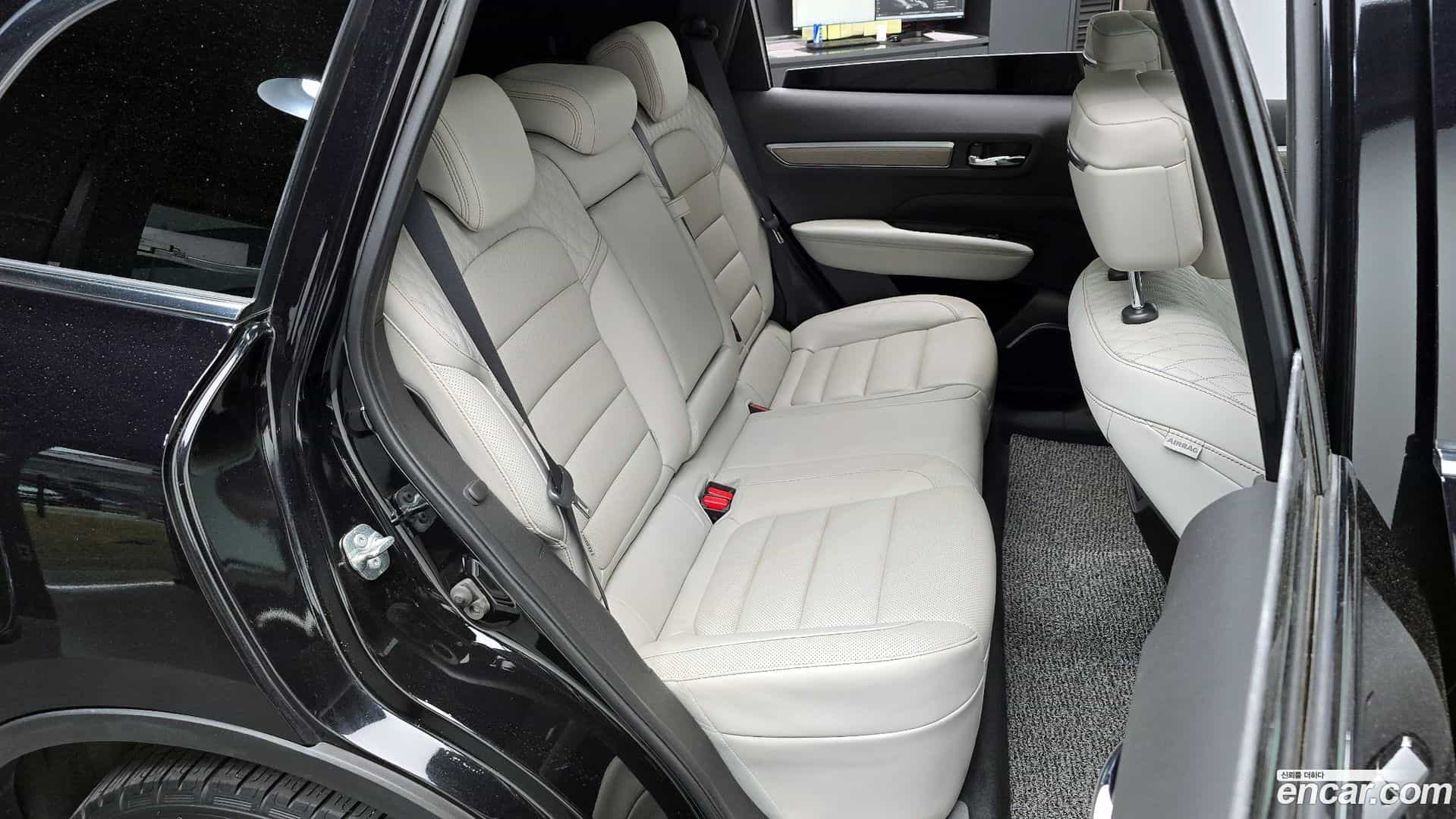 QM6 Renault Korea 2019.7-OPTION-016