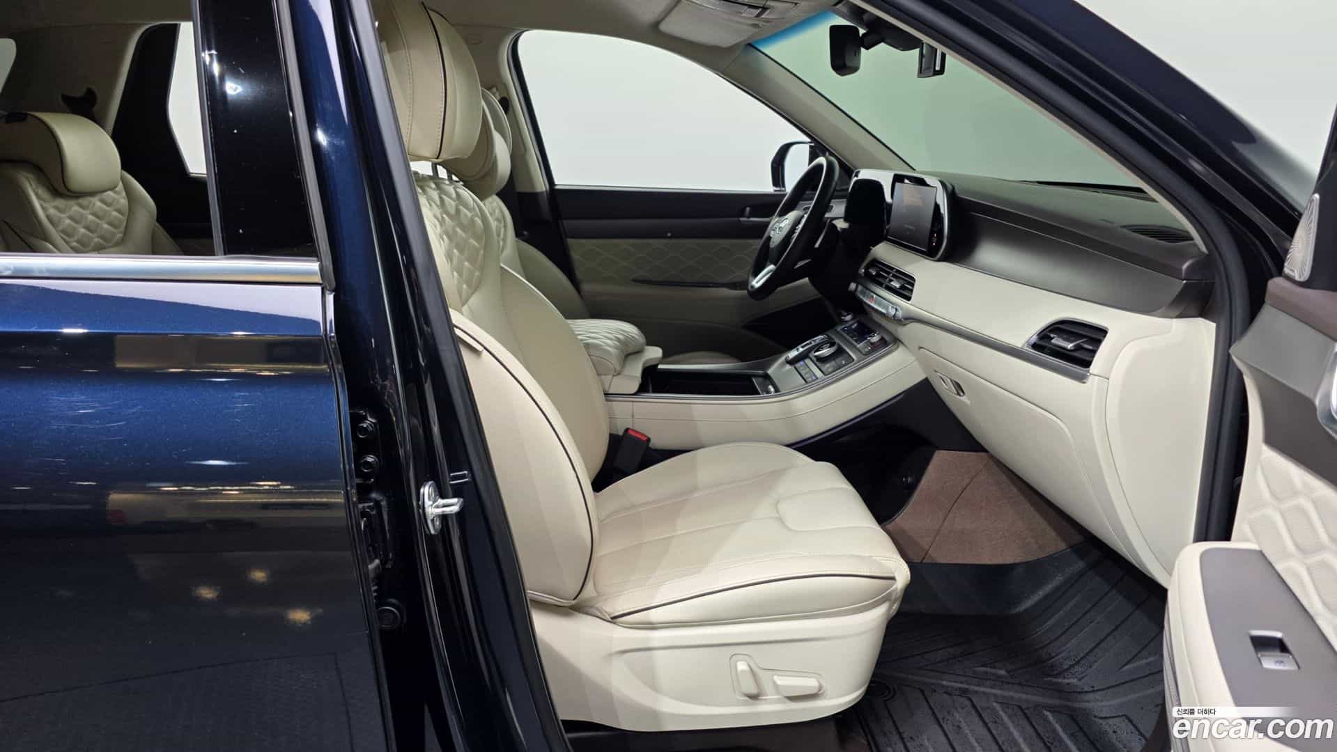 Palisade Hyundai 2021.10-OPTION-015