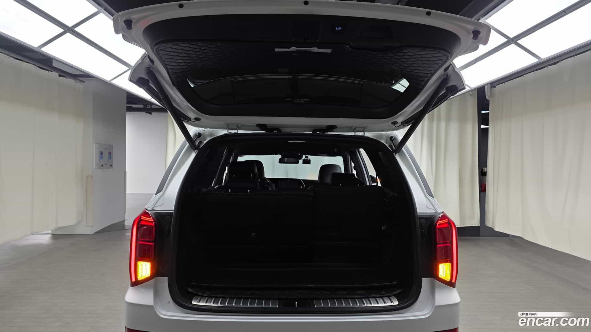 Palisade Hyundai 2020.9-OPTION-024