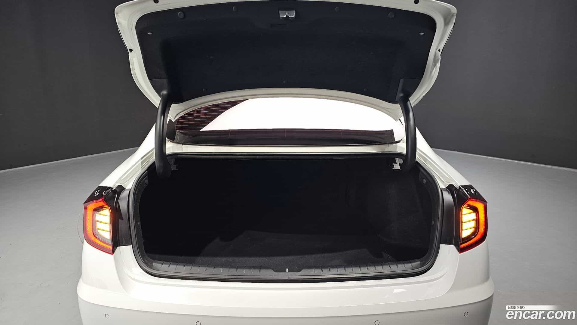 Sonata Hyundai 2019.7-OPTION-024