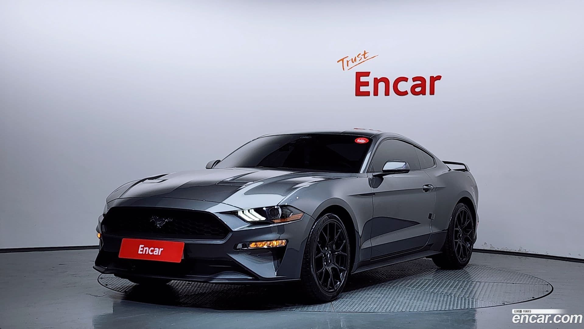 Main__Slider__Photo:Mustang Ford 2021.11-0