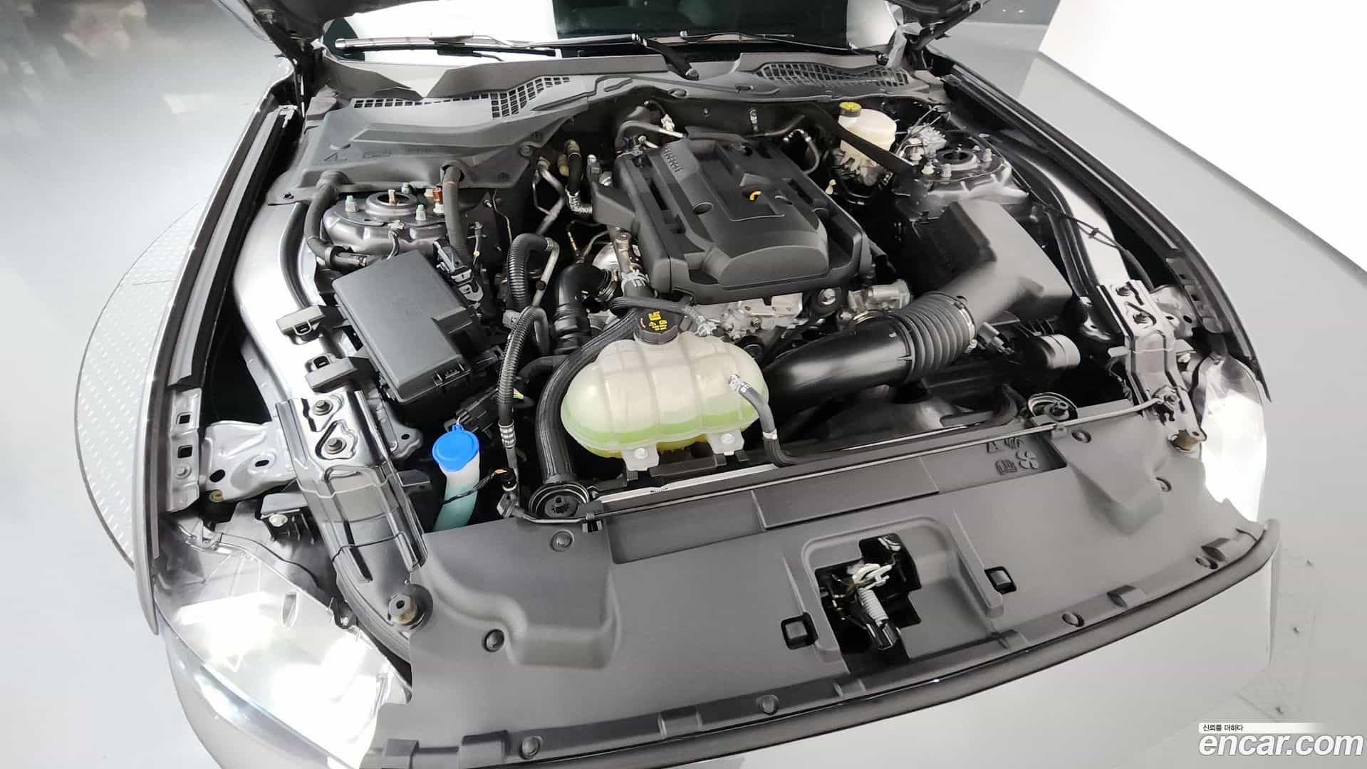 Mustang Ford 2021.11-OUTER-006