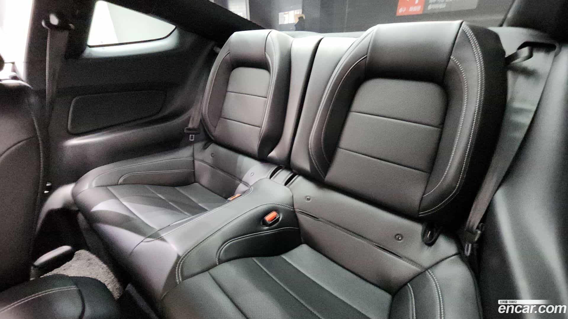 Mustang Ford 2021.11-OPTION-015