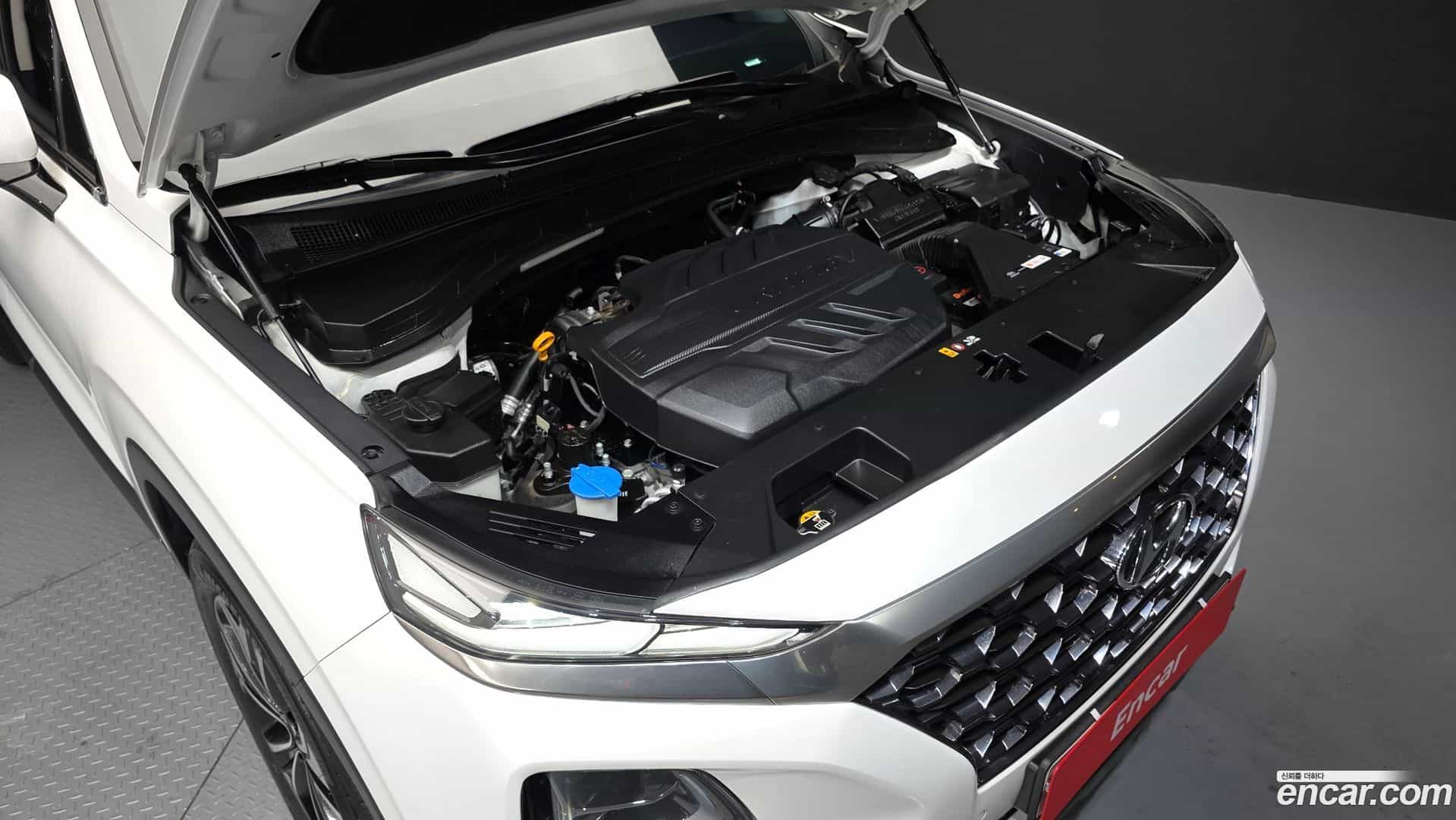 Santafe Hyundai 2019.3-OUTER-006