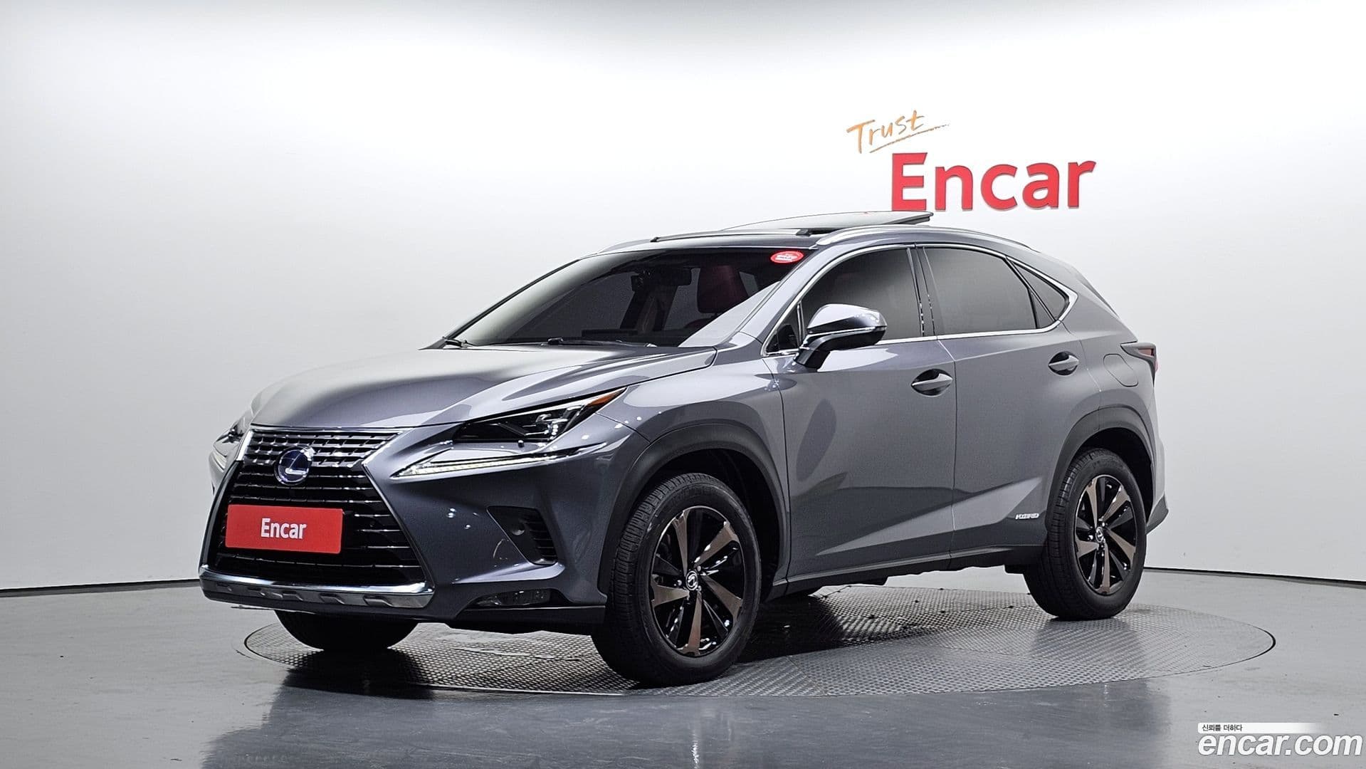 Main__Slider__Photo:NX Lexus 2017.11-0