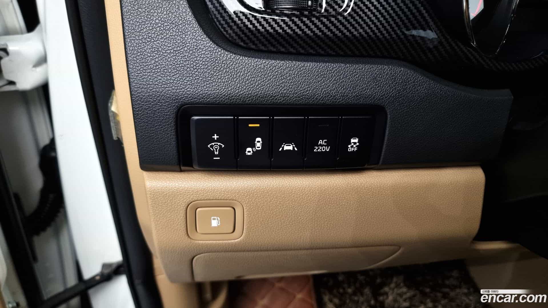 Canival Kia 2020.5-OPTION-024