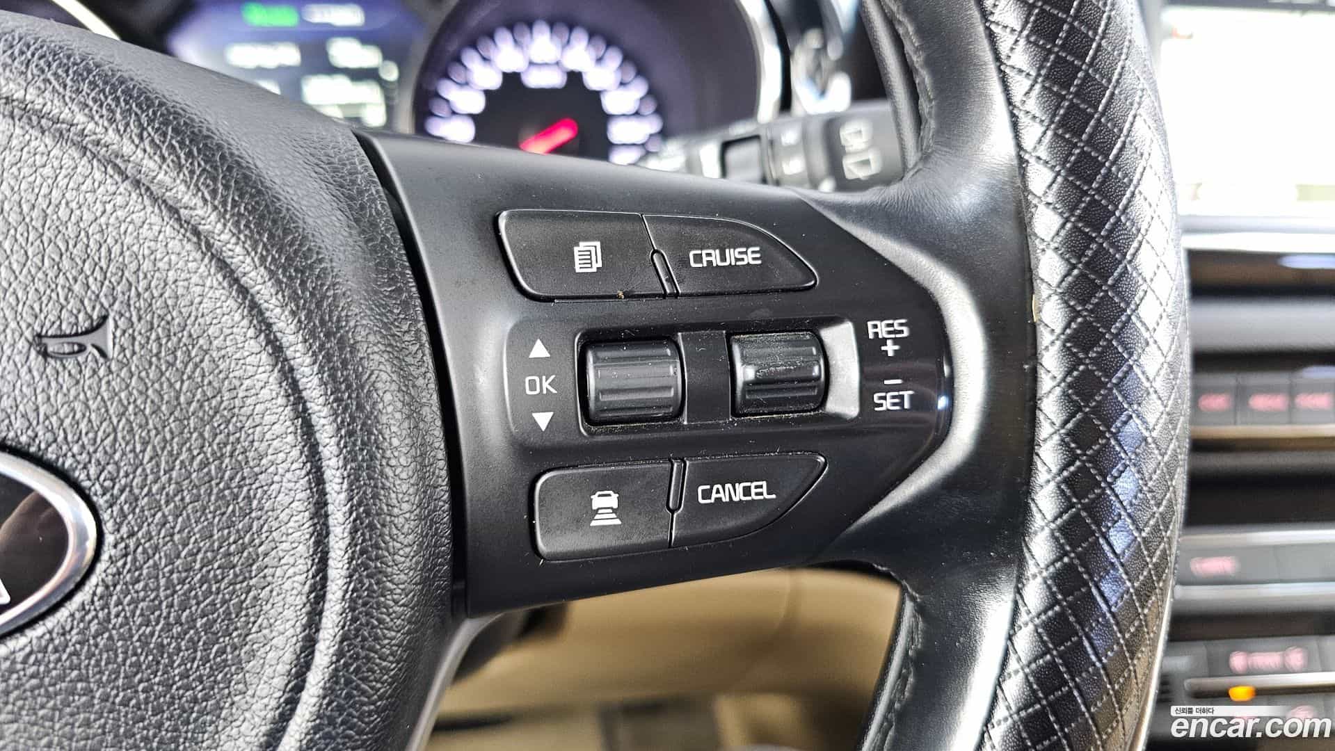 Canival Kia 2017.10-OPTION-049