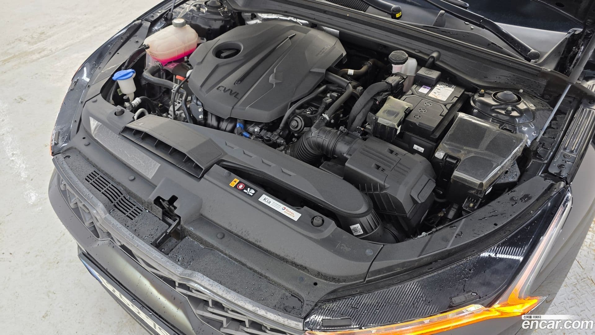 Main__Slider__Photo:K5 Kia 2021.6-5