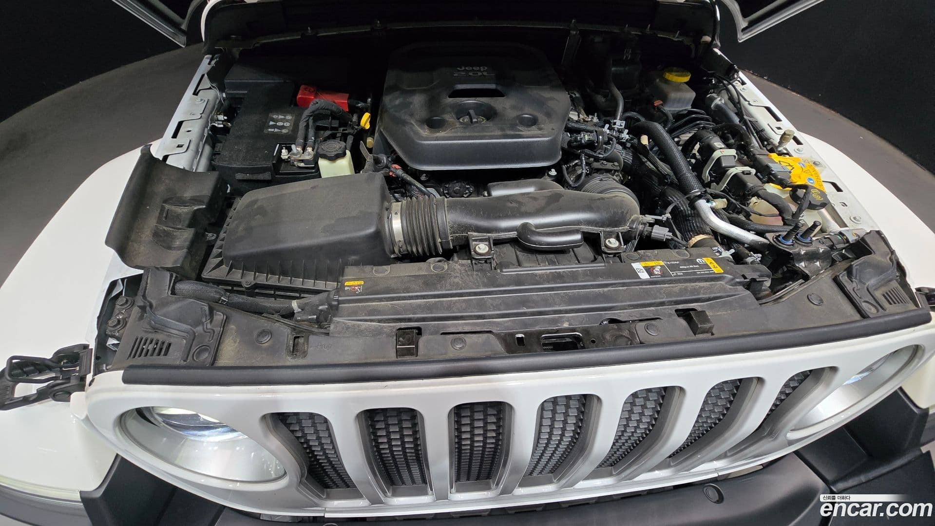 Main__Slider__Photo:Wrangler Jeep 2021.6-5