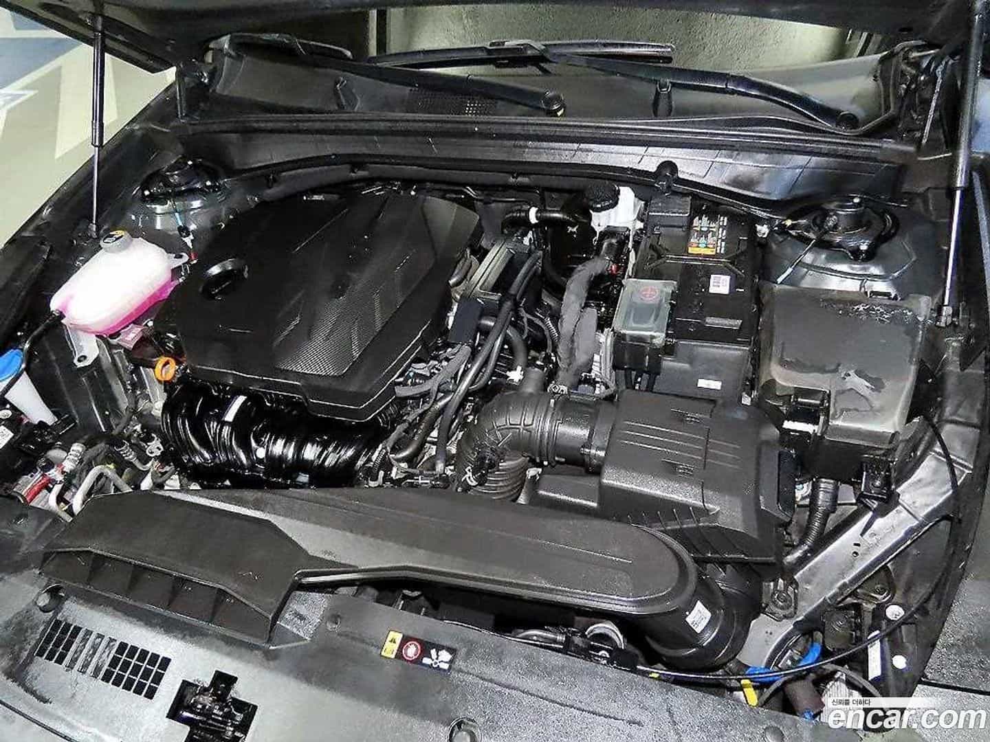 K8 Kia 2025.1-OPTION-023
