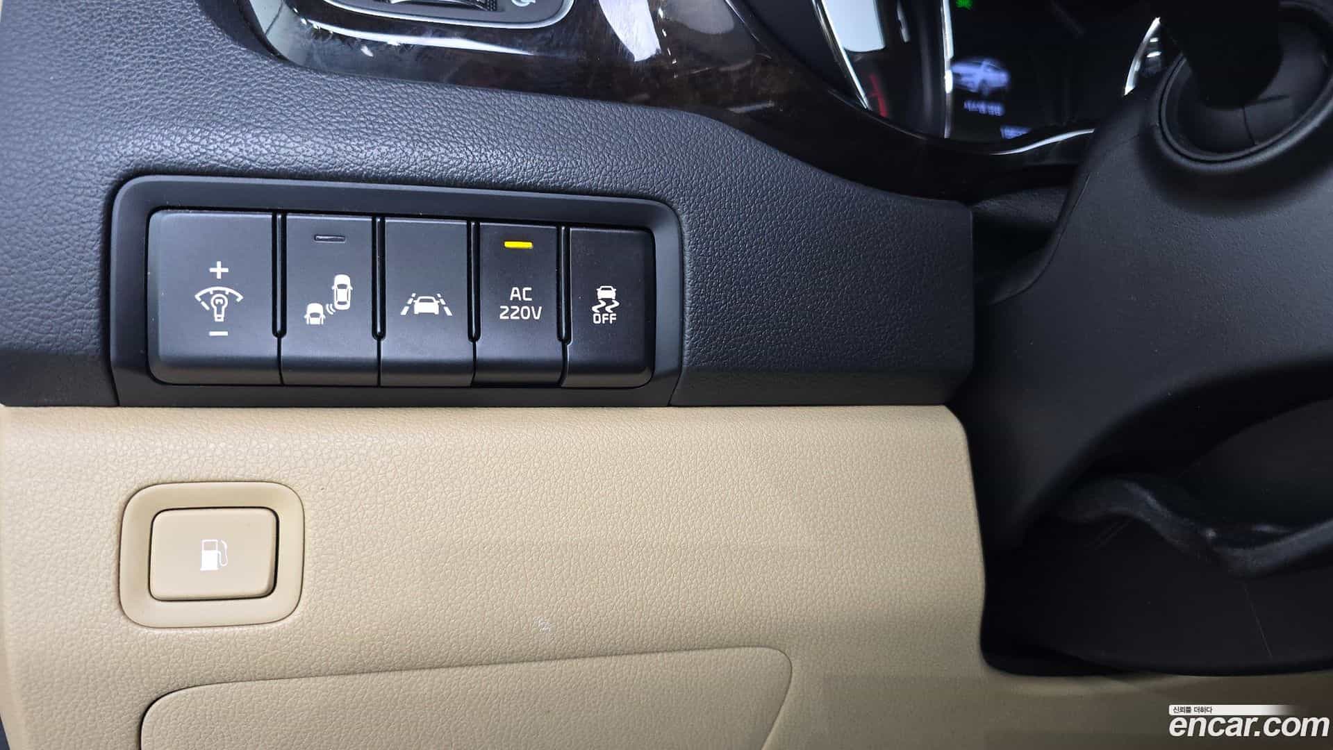 Canival Kia 2018.4-OPTION-020
