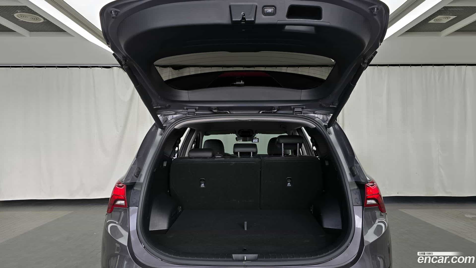 Santafe Hyundai 2021.11-OPTION-024