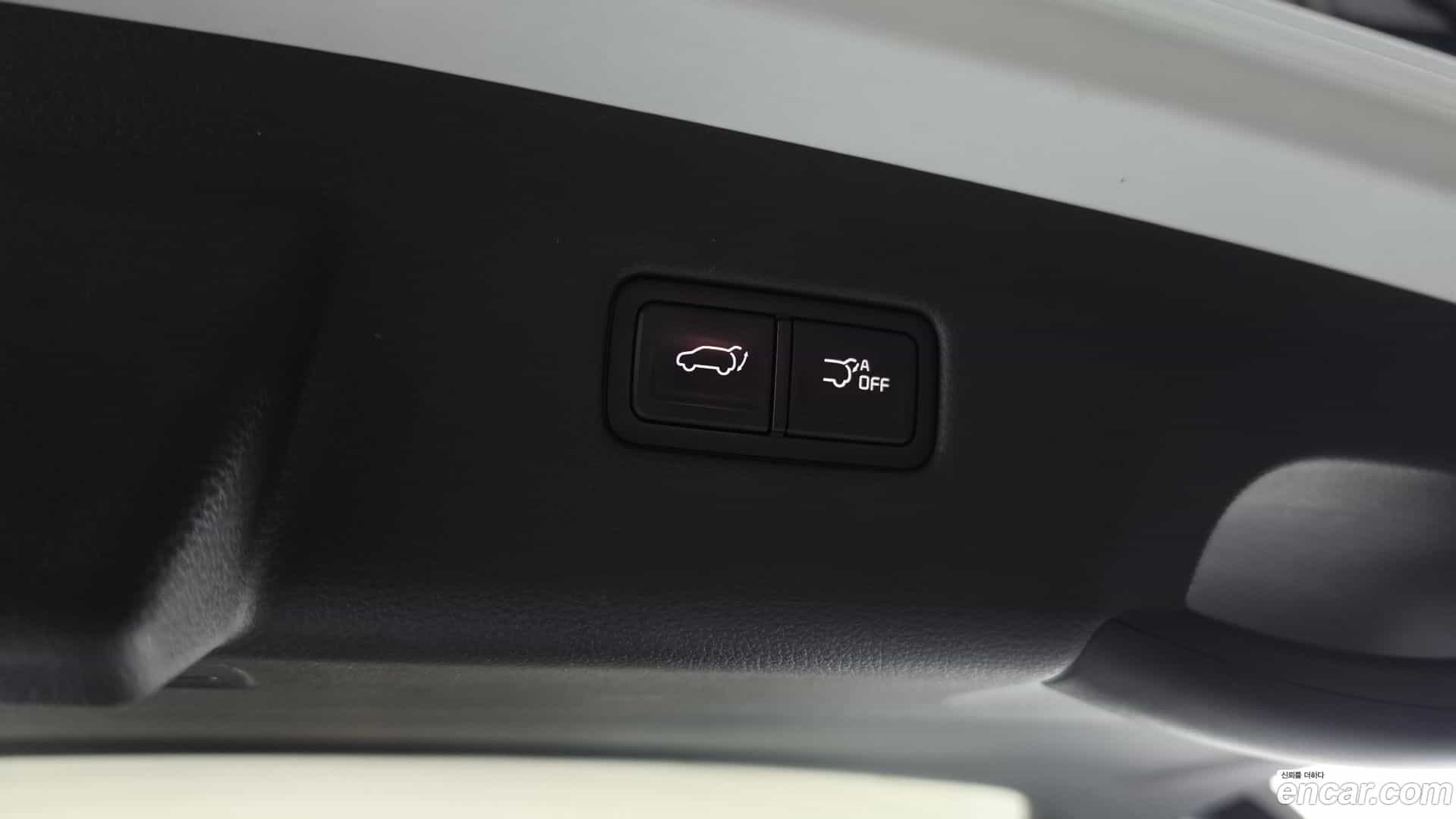 Canival Kia 2020.11-OPTION-020