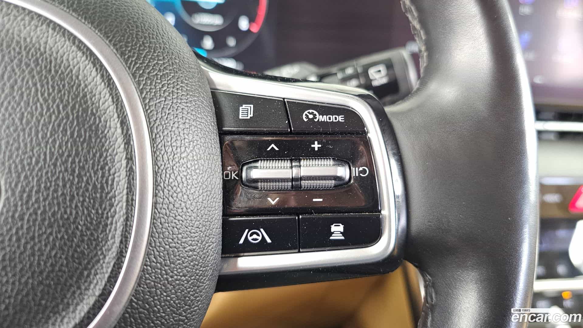 Canival Kia 2020.10-OPTION-022