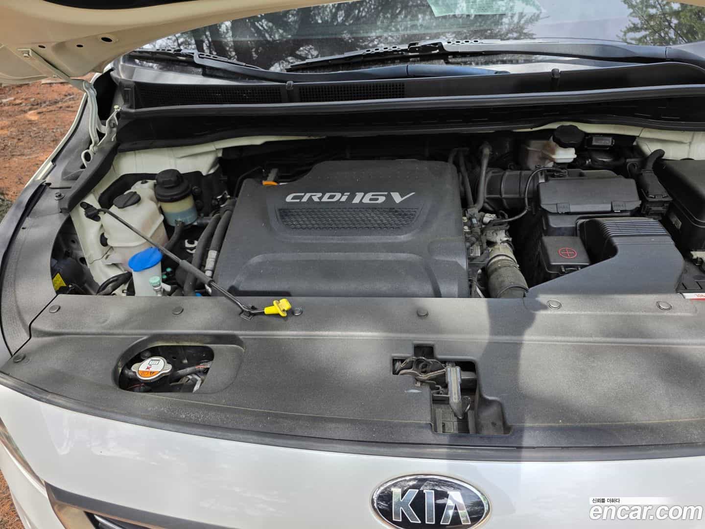 Canival Kia 2014.11-OPTION-023