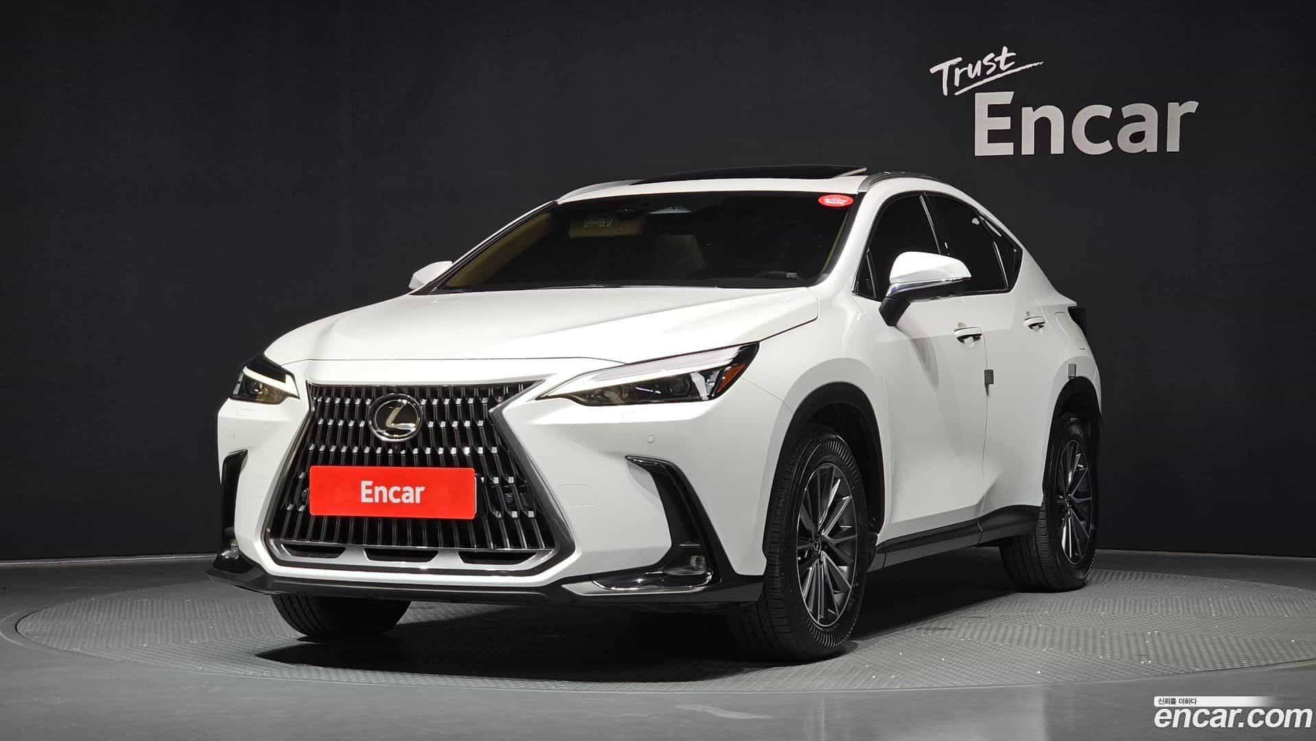 NX Lexus 2023.0-OUTER-001