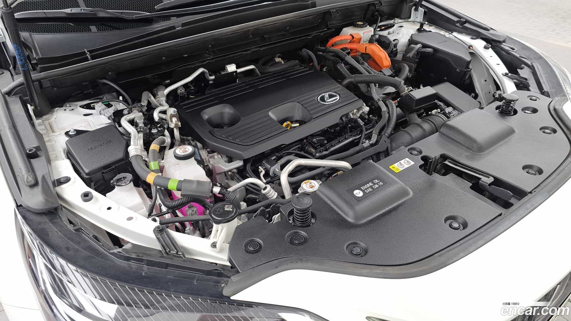 NX Lexus 2023.0-OUTER-006