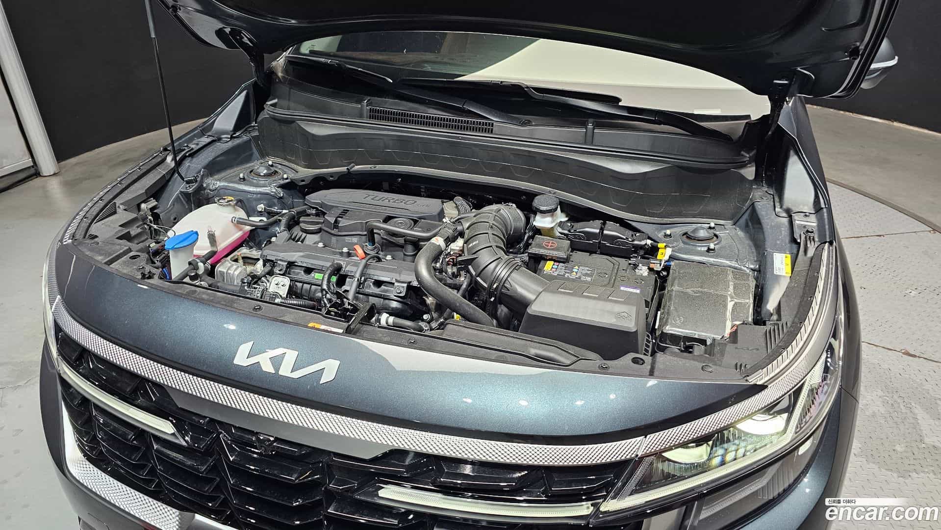 Seltos Kia 2025.5-OUTER-006