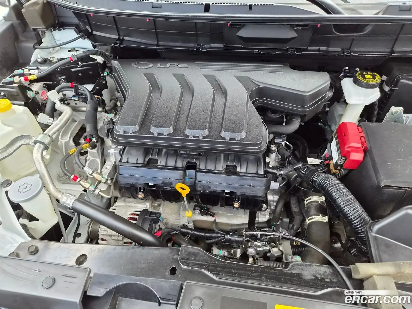 QM6 Renault Korea 2022.8-OUTER-006