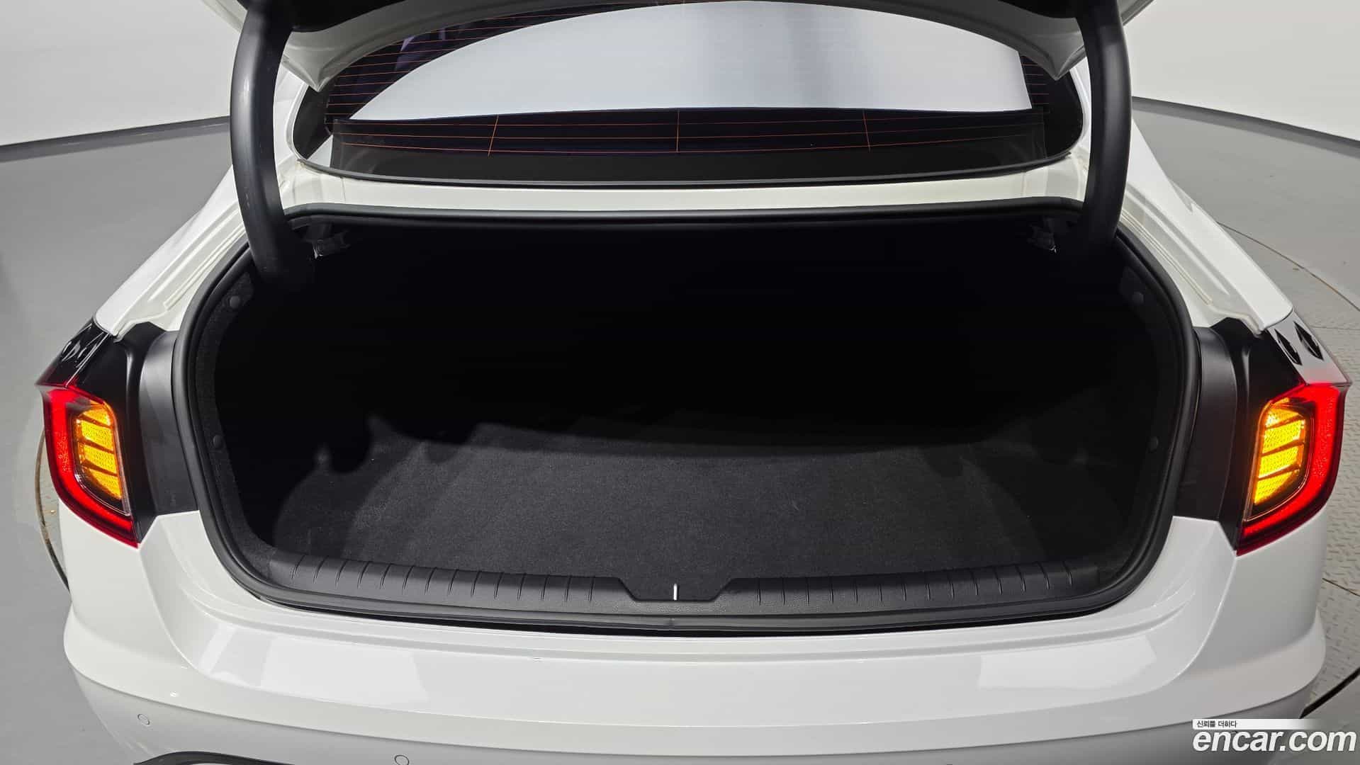 Sonata Hyundai 2019.3-OPTION-022