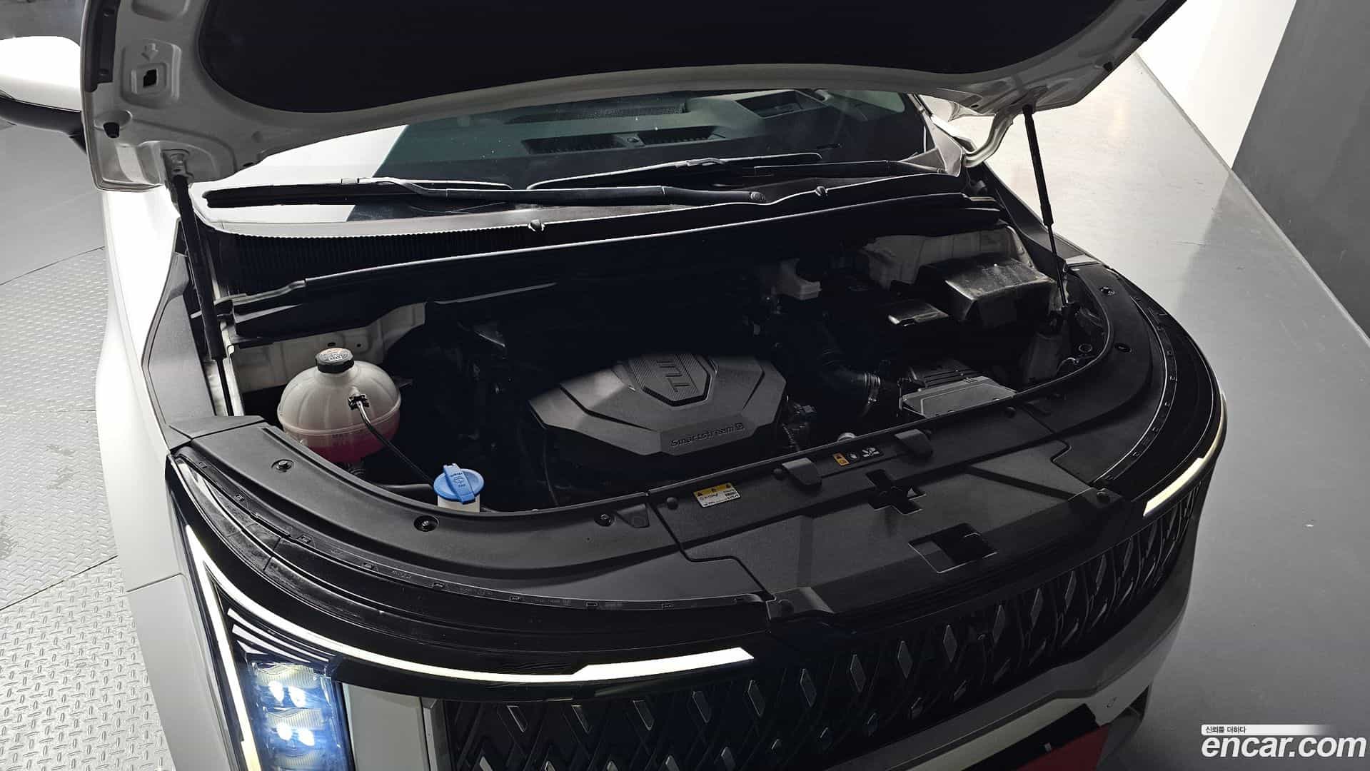 Canival Kia 2024.5-OUTER-006