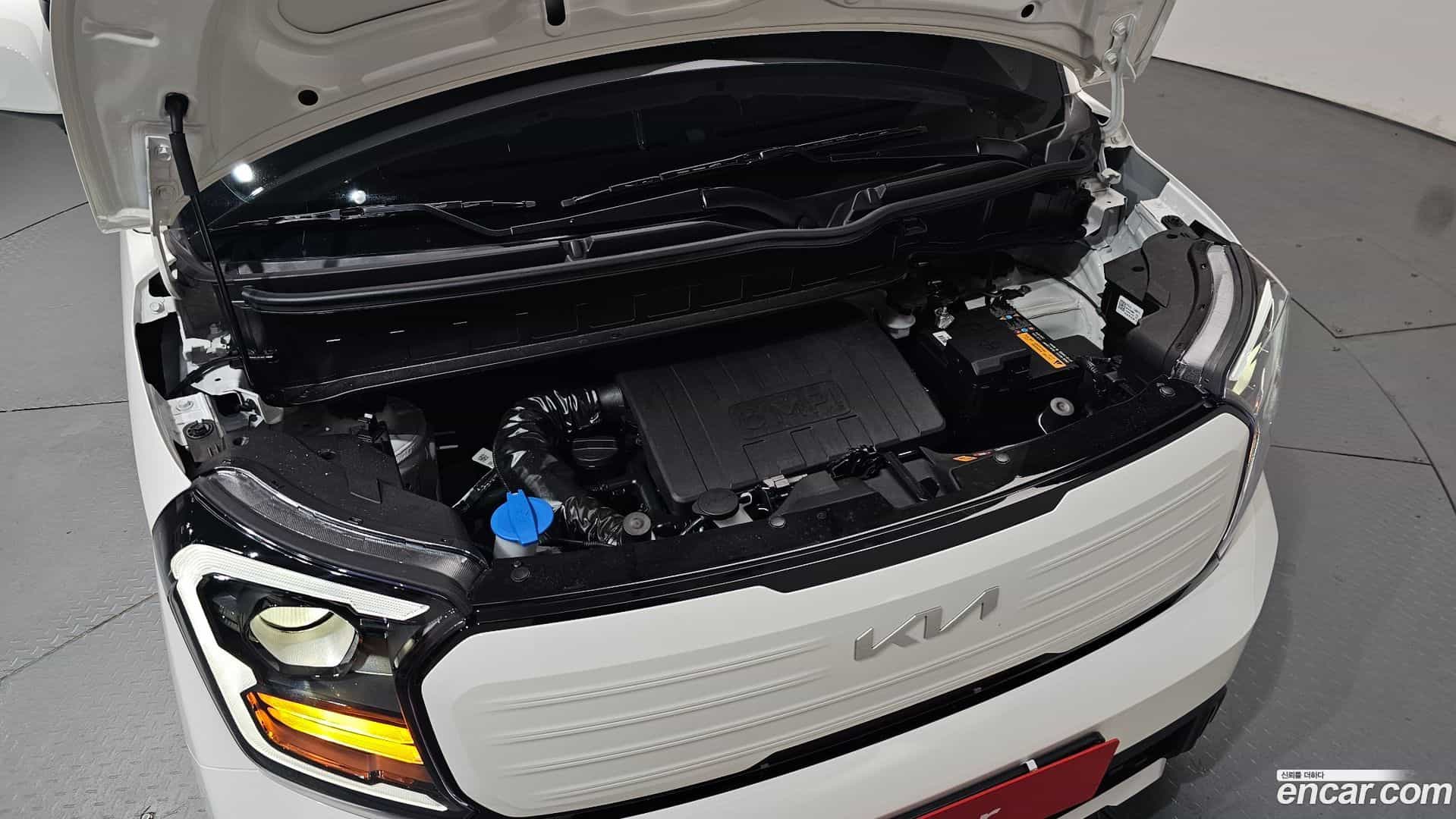RAY Kia 2026.3-OUTER-006
