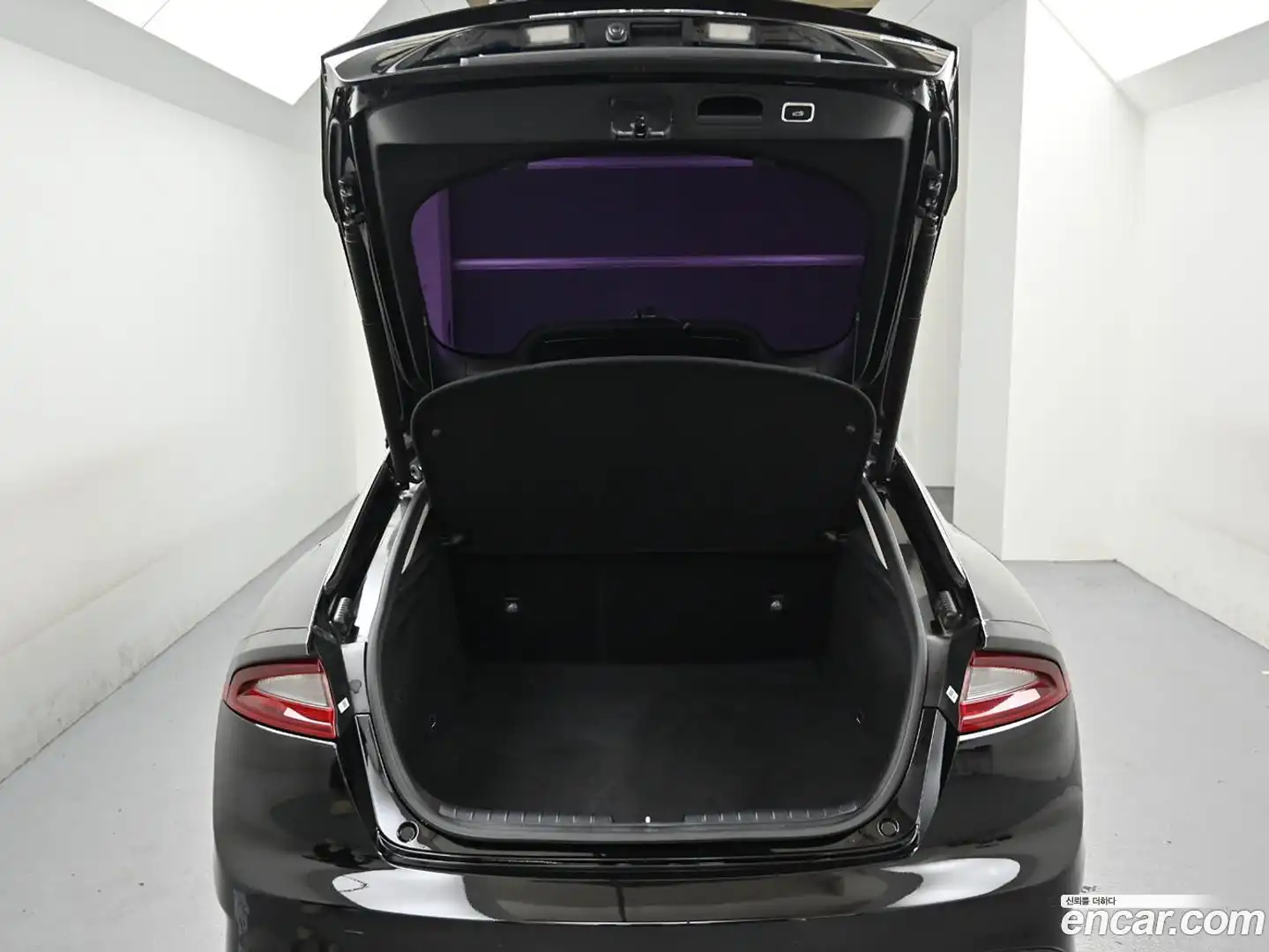 Stinger Kia 2017.8-OPTION-023