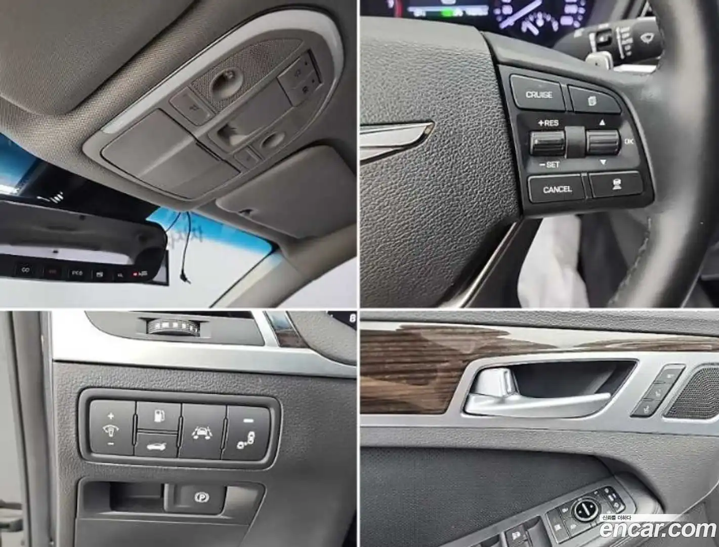 G80 Genesis 2019.6-OPTION-021