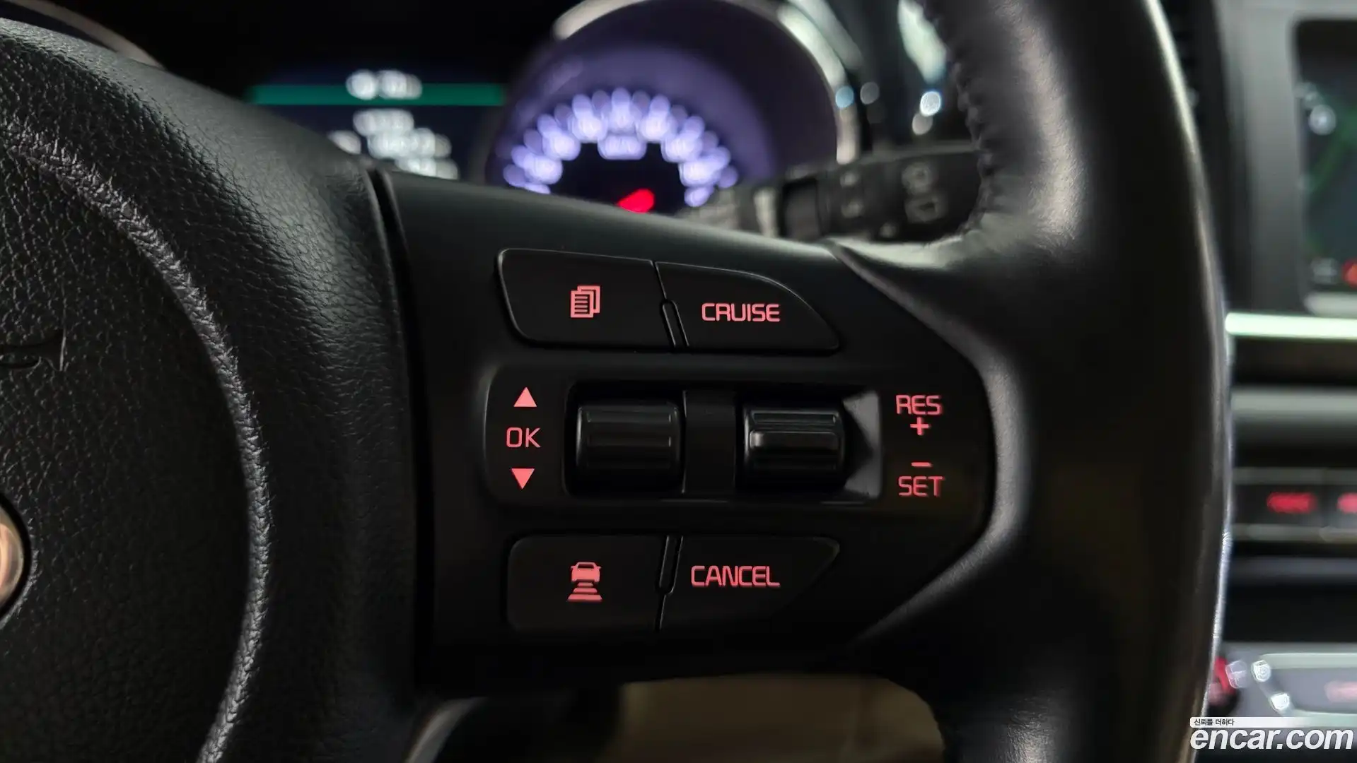 Canival Kia 2018.9-OPTION-022