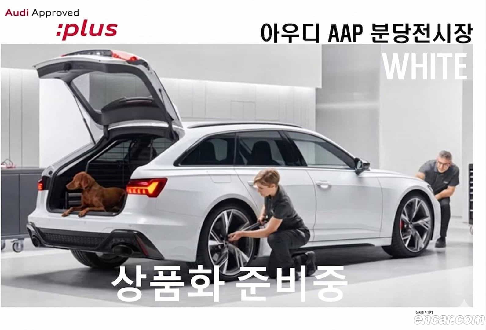 Q6 e-tron Audi 2025.7-OUTER-001