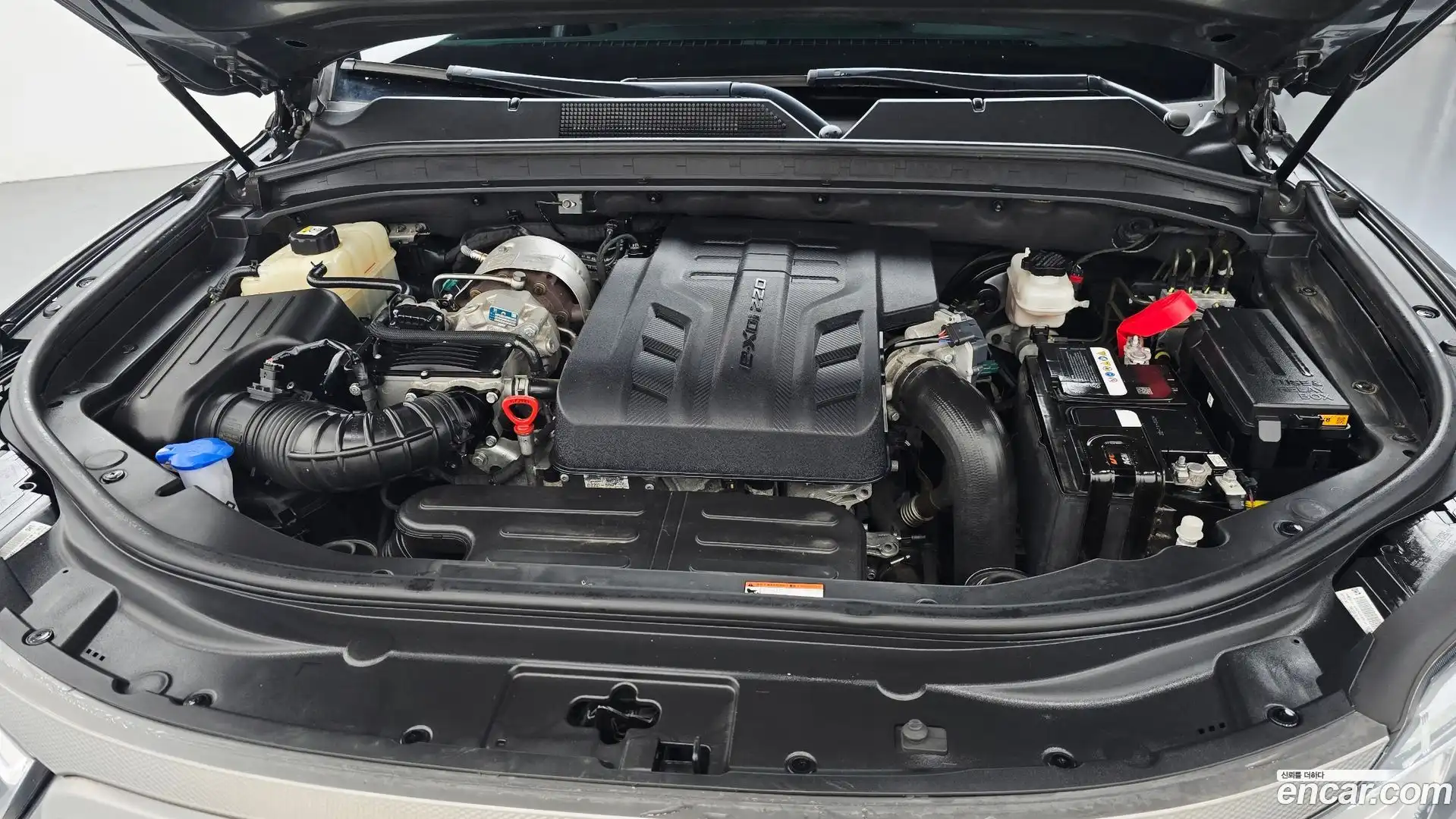 Rexton KG Mobility 2022.5-OUTER-006