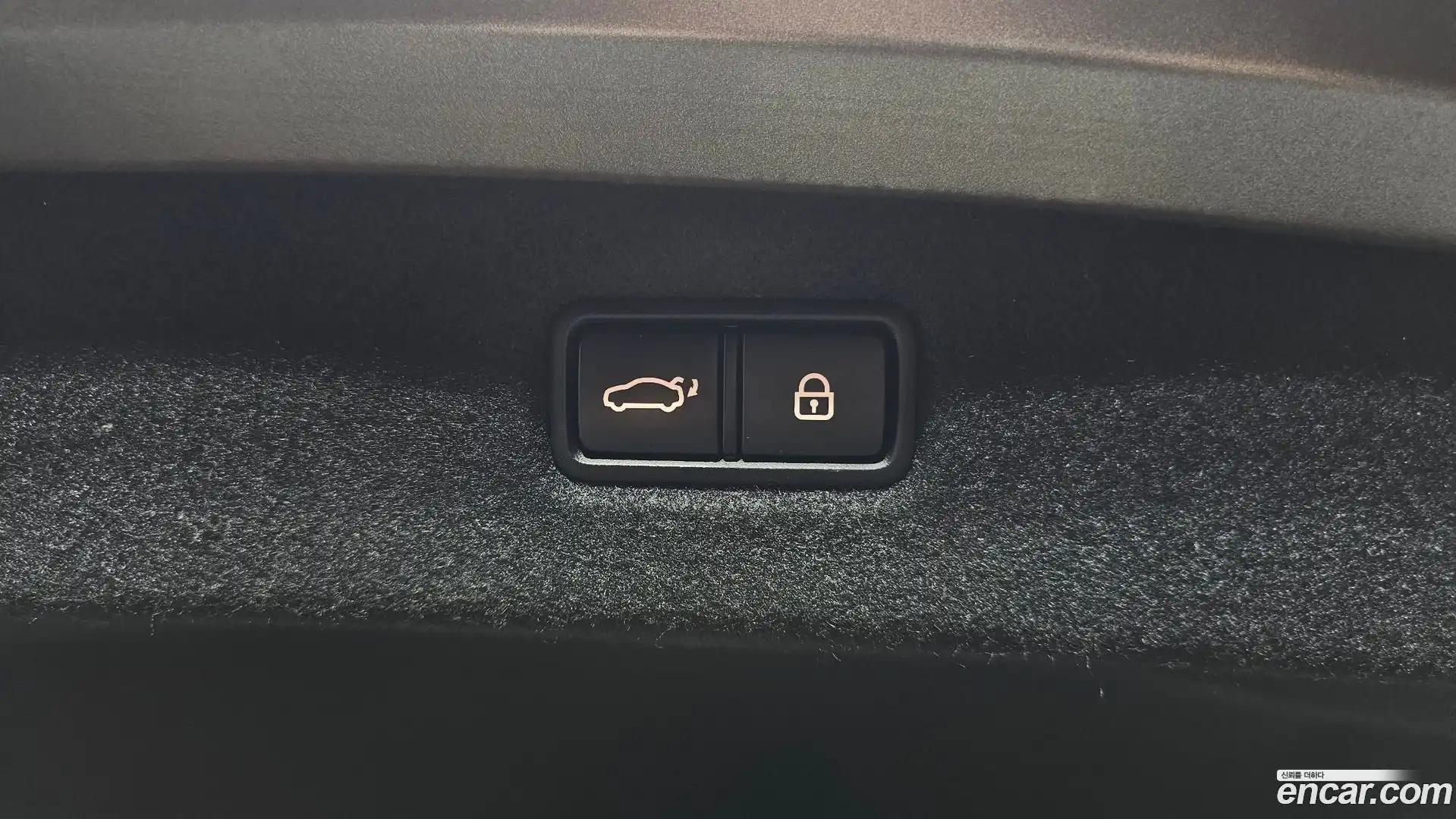 G90 Genesis 2020.1-OPTION-041