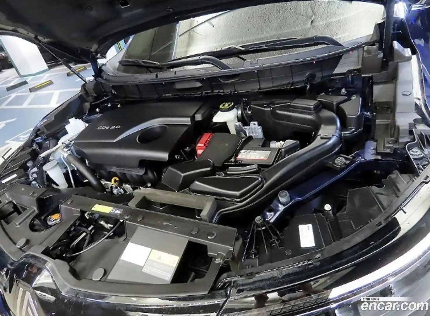 QM6 Renault Korea 2024.4-OPTION-023
