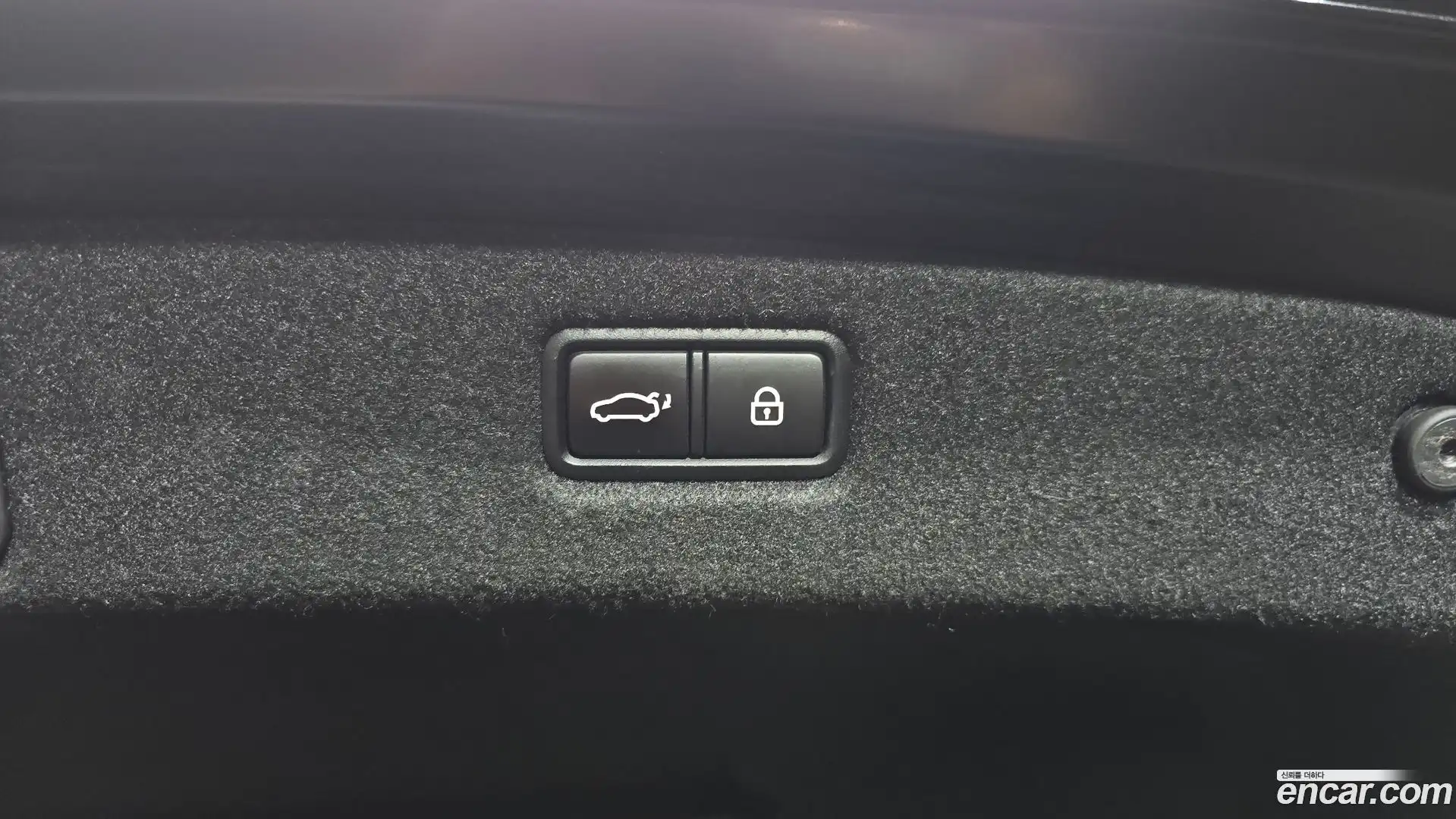 G90 Genesis 2019.1-OPTION-024