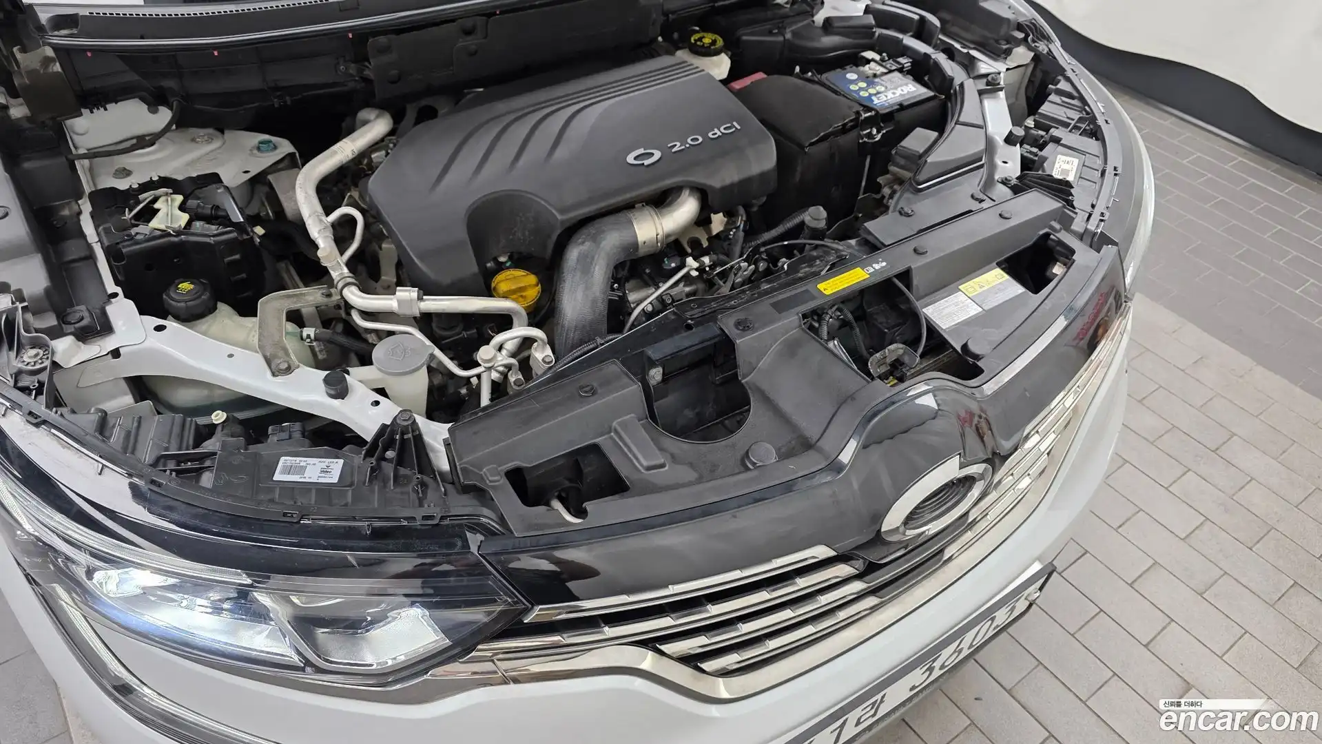 QM6 Renault Korea 2019.4-OUTER-006