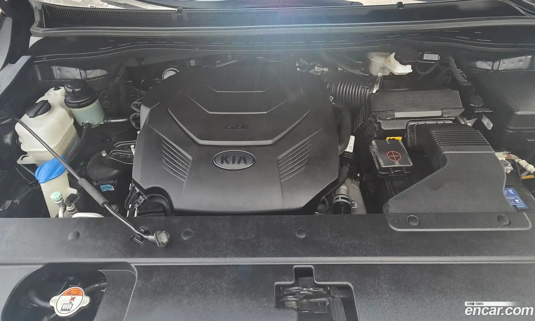 Canival Kia 2018.11-OPTION-022