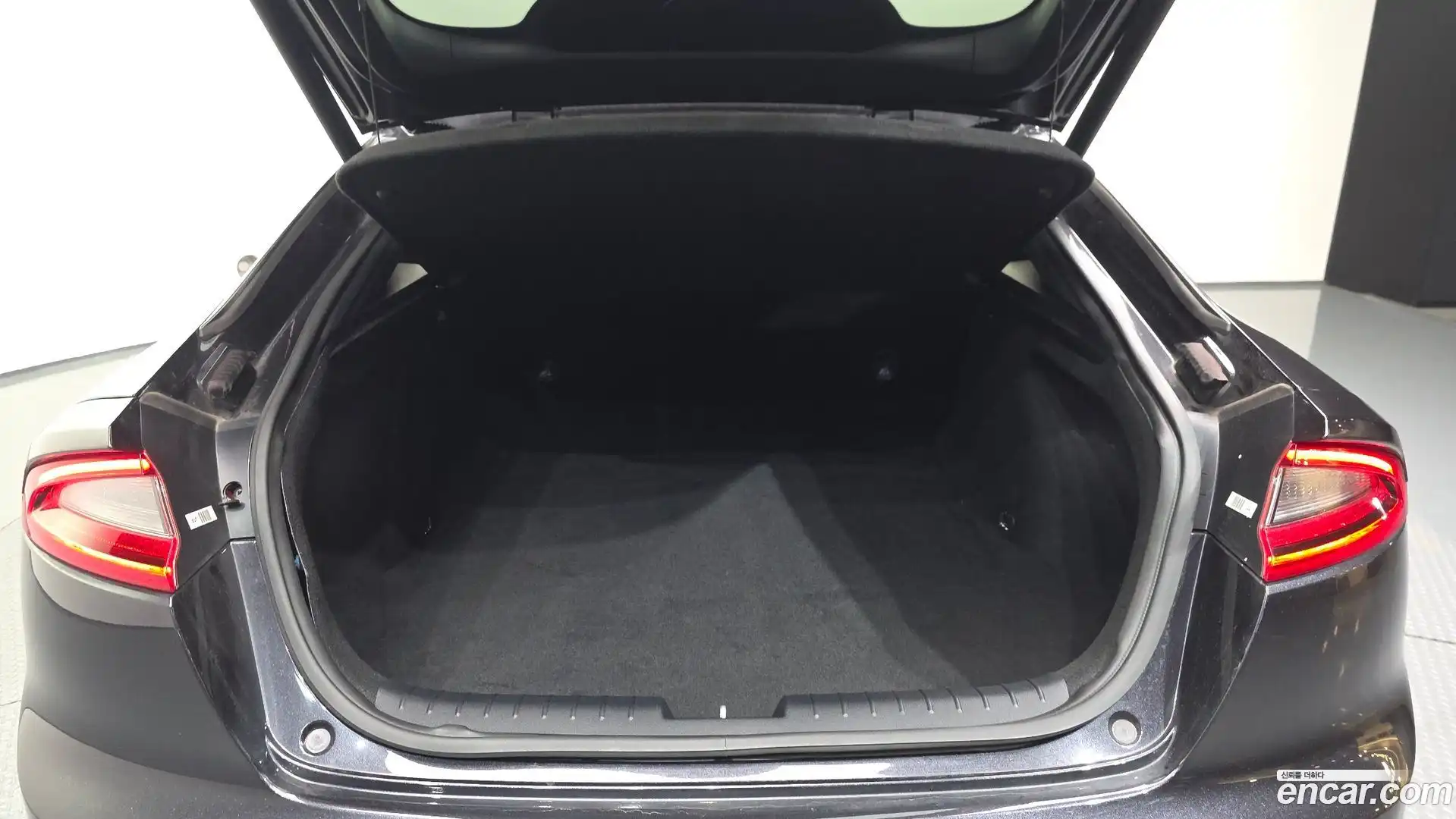 Stinger Kia 2017.8-OPTION-024