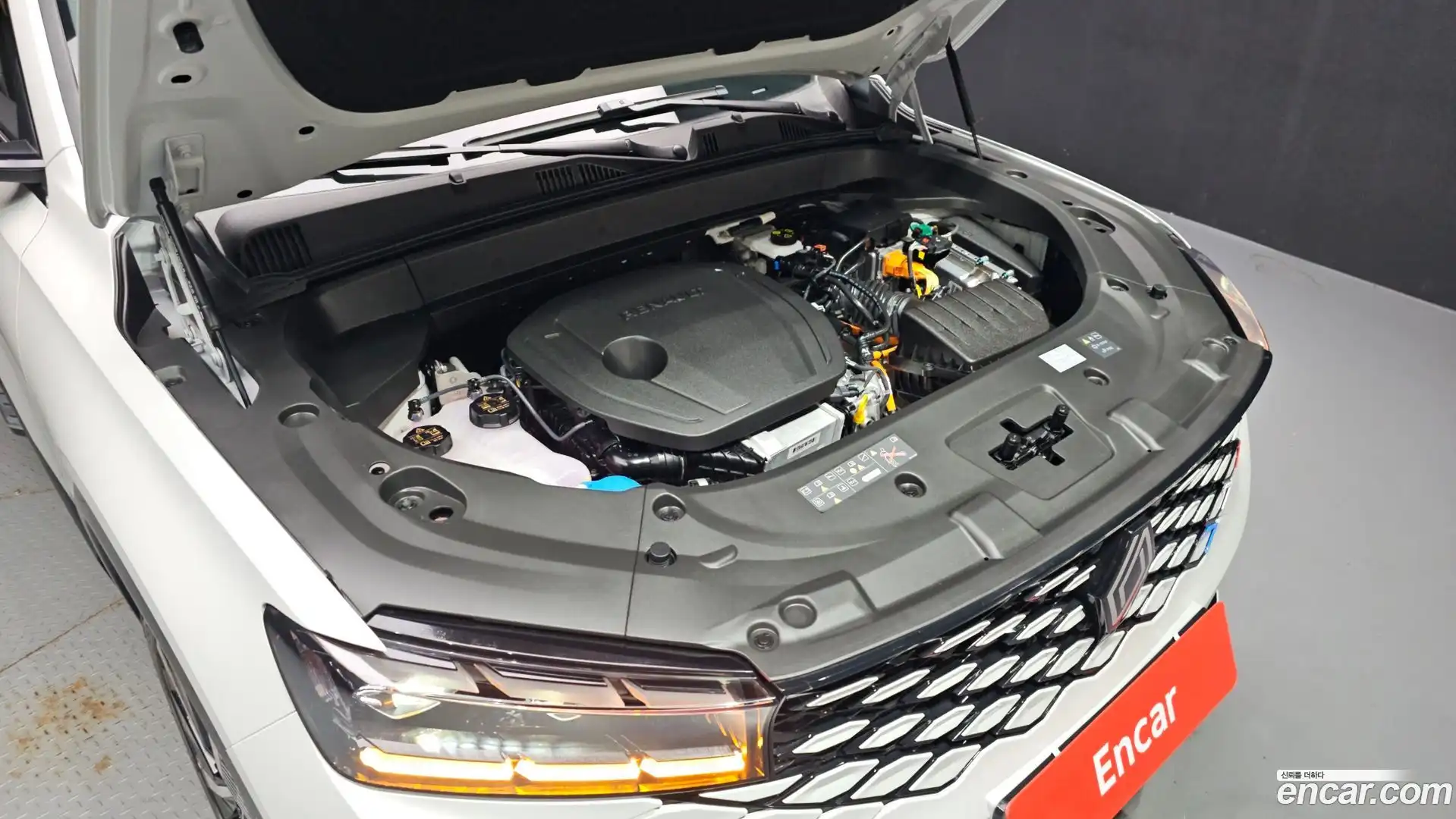 Grand Koleos Renault Korea 2025.8-OUTER-006