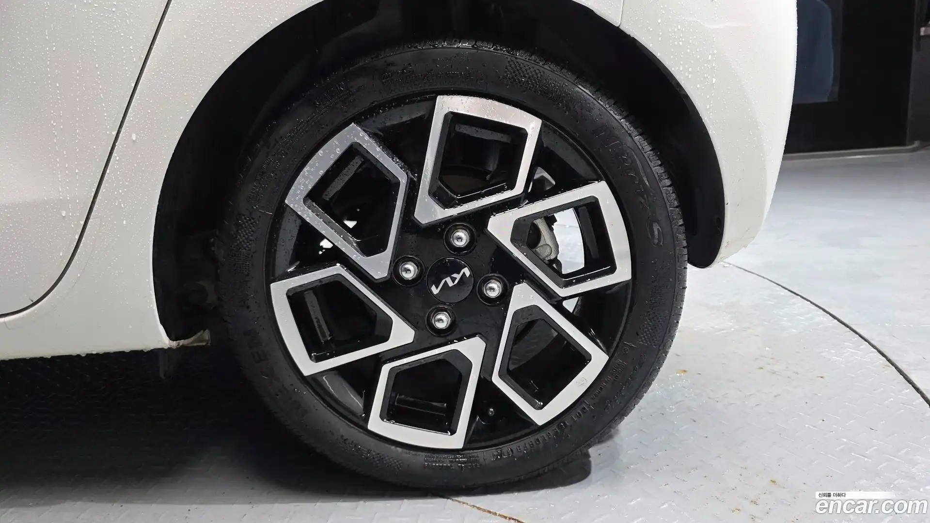 RAY Kia 2024.2-OUTER-031