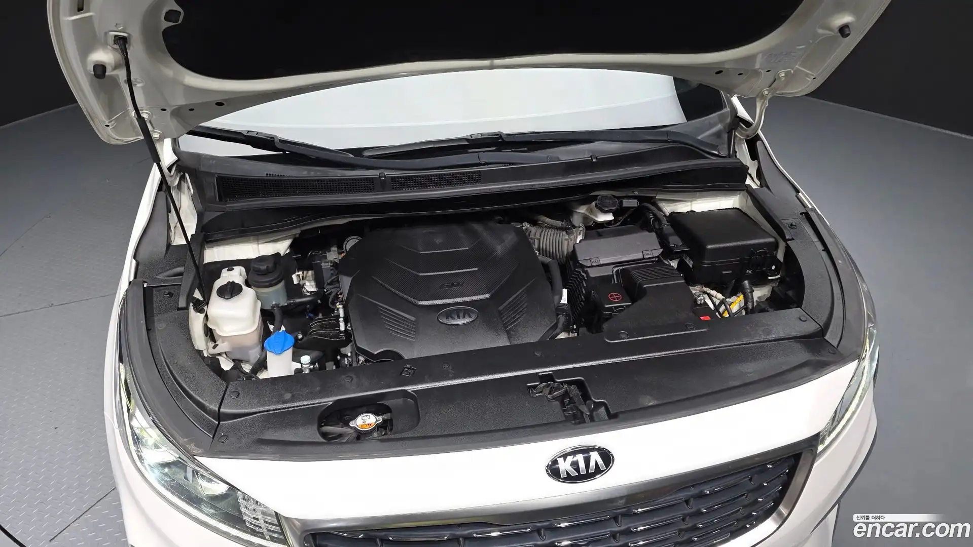 Canival Kia 2019.1-OUTER-006