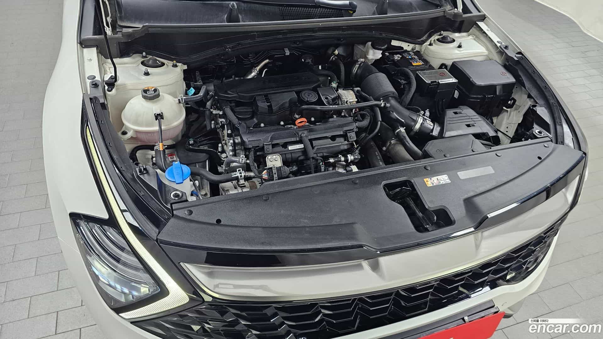 Sportage Kia 2023.5-OUTER-006