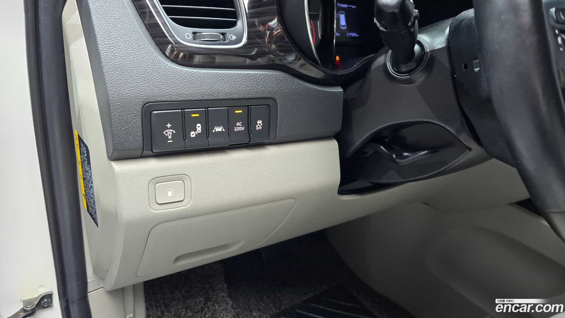 Canival Kia 2019.5-OPTION-024