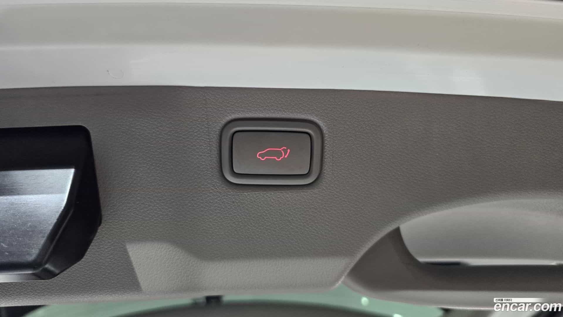 Canival Kia 2019.5-OPTION-040